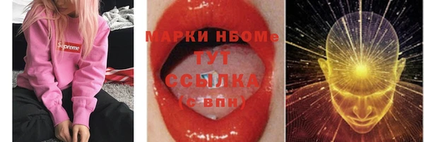 индика Сафоново