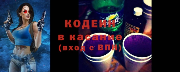 индика Сафоново