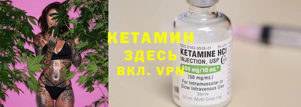трава Сатка