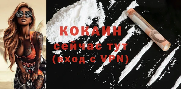 винт Абаза