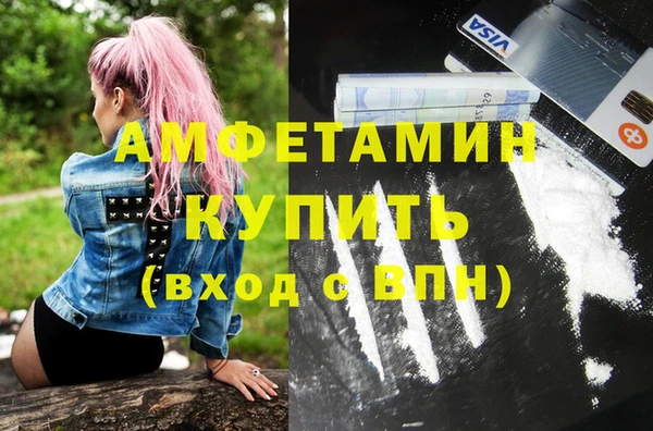 трава Сатка