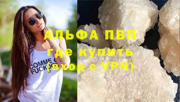 винт Абаза