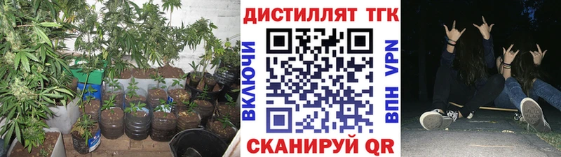 blacksprut   что такое   Богородицк  Дистиллят ТГК жижа 